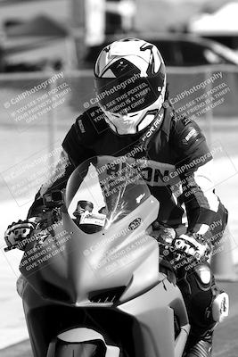 media/Feb-23-2025-2WTD (Sun) [[9604a77d5d]]/1-Around the Pits/